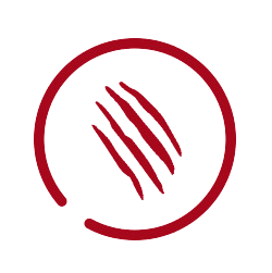 Icon-4