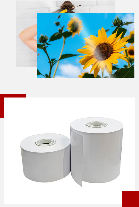 260gsm RC Glossy minilab photo paper