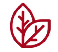 Environmental Icon