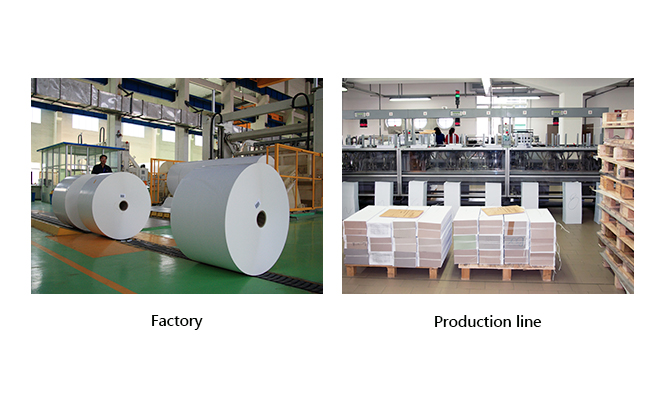 Sublimation paper factory