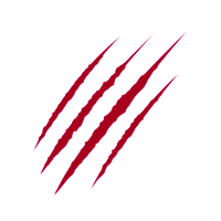 No scratches Icon